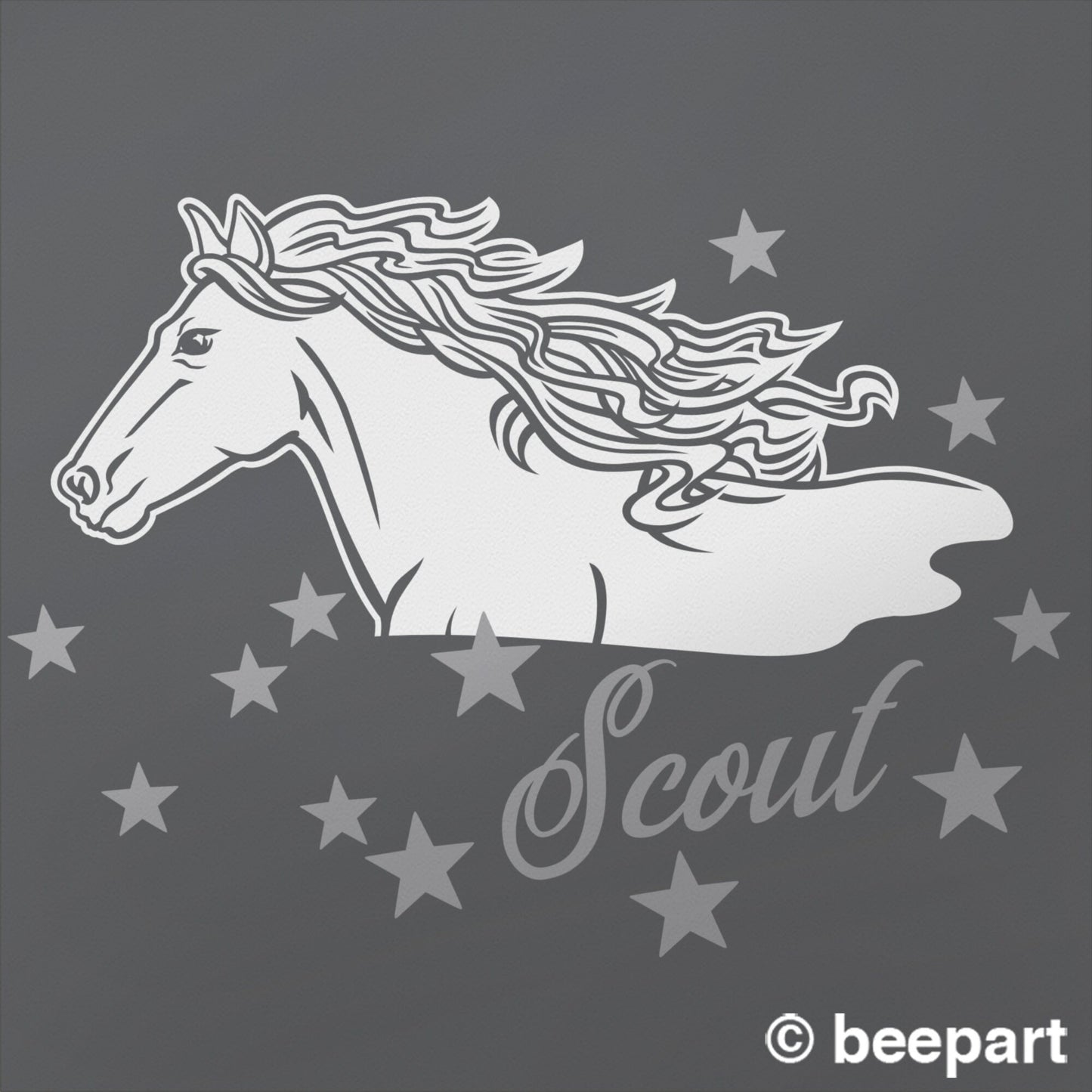 Personalized horse wall decal, custom name wall decal, horse art, children's room, equine, cowboy, cowgirl, bedroom, wild horse sticker