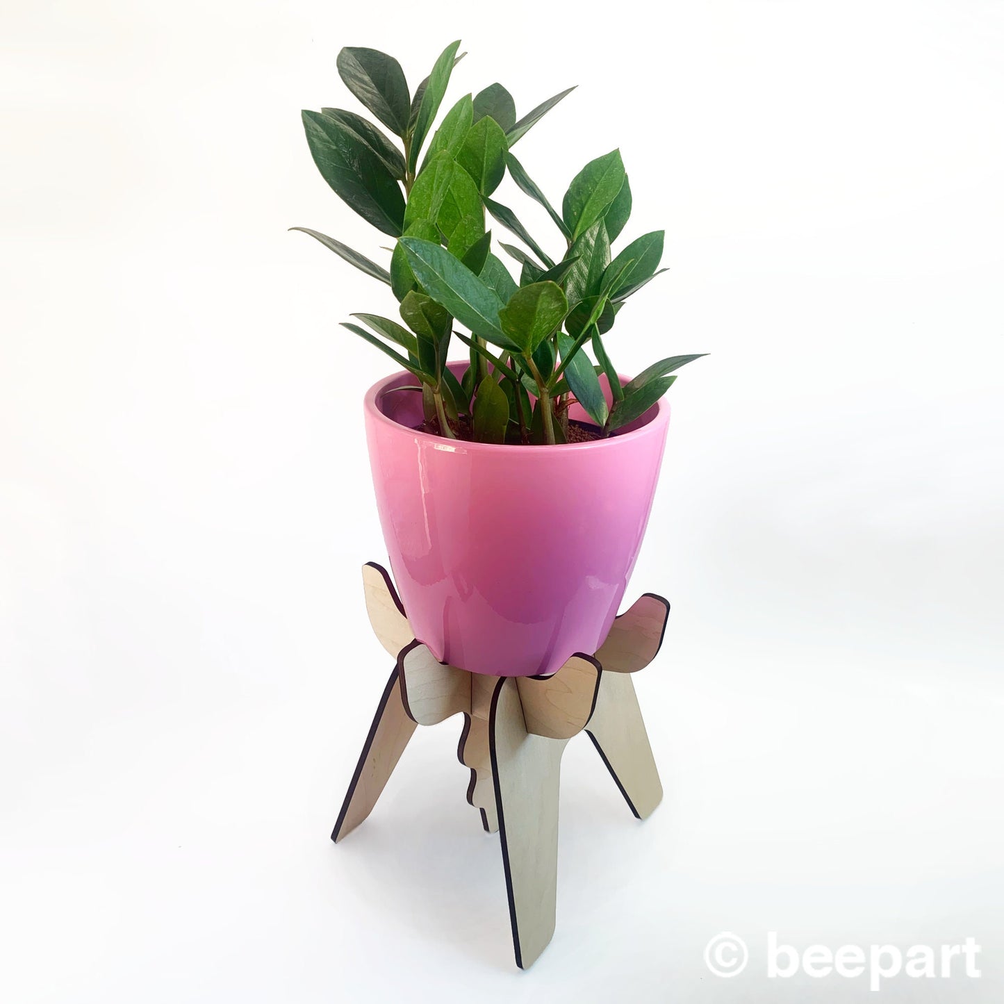 FUNKL Wooden Plant Stand – Sculptural Maple Plant Holder