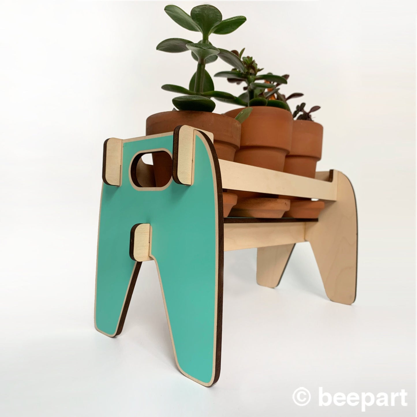 BEVERLY Wood Plant Caddy | Wooden Plant Stand for Succulents, Cactus & Herbs