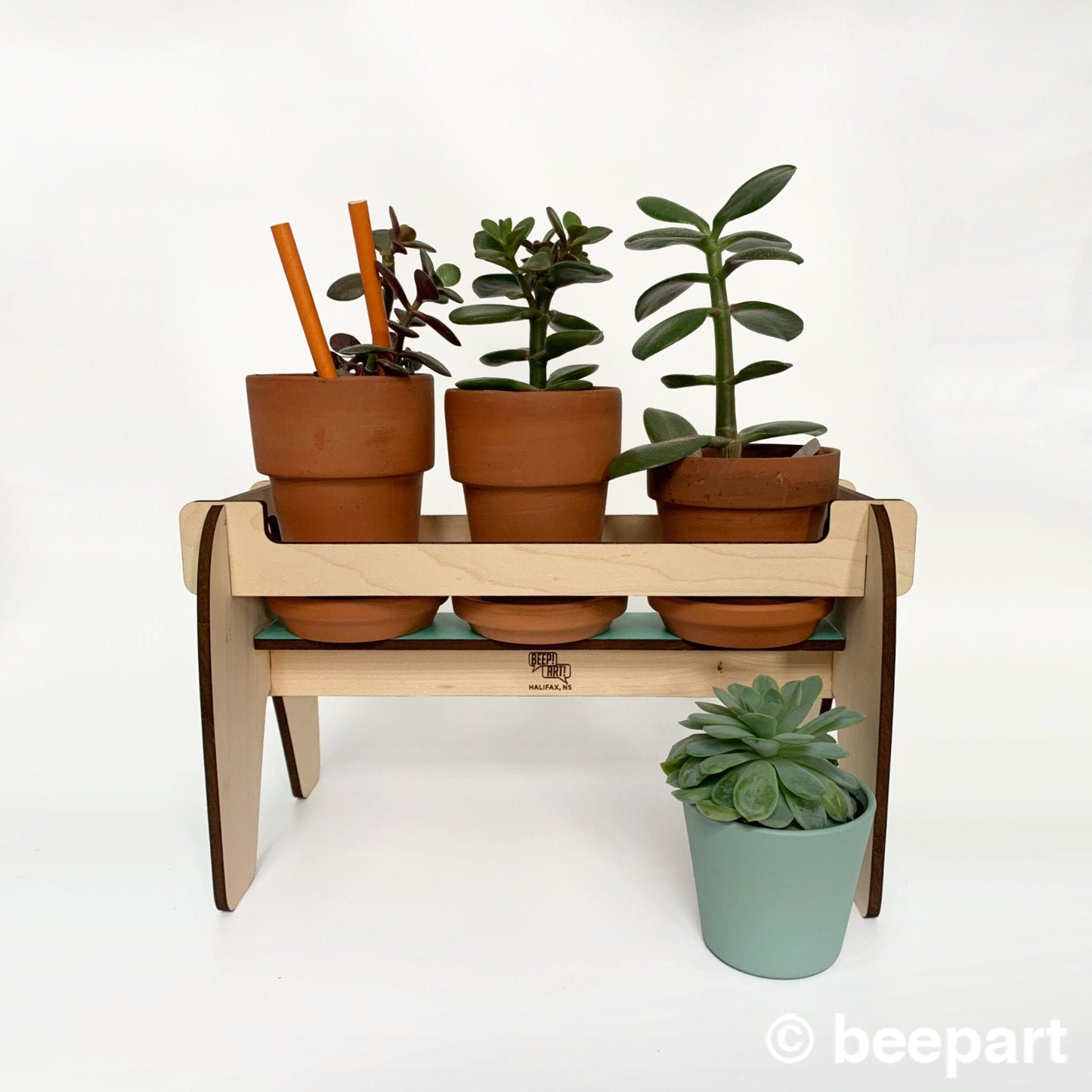 BEVERLY Wood Plant Caddy | Wooden Plant Stand for Succulents, Cactus & Herbs