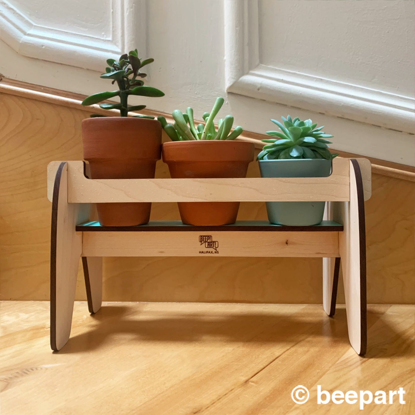 BEVERLY Wood Plant Caddy | Wooden Plant Stand for Succulents, Cactus & Herbs