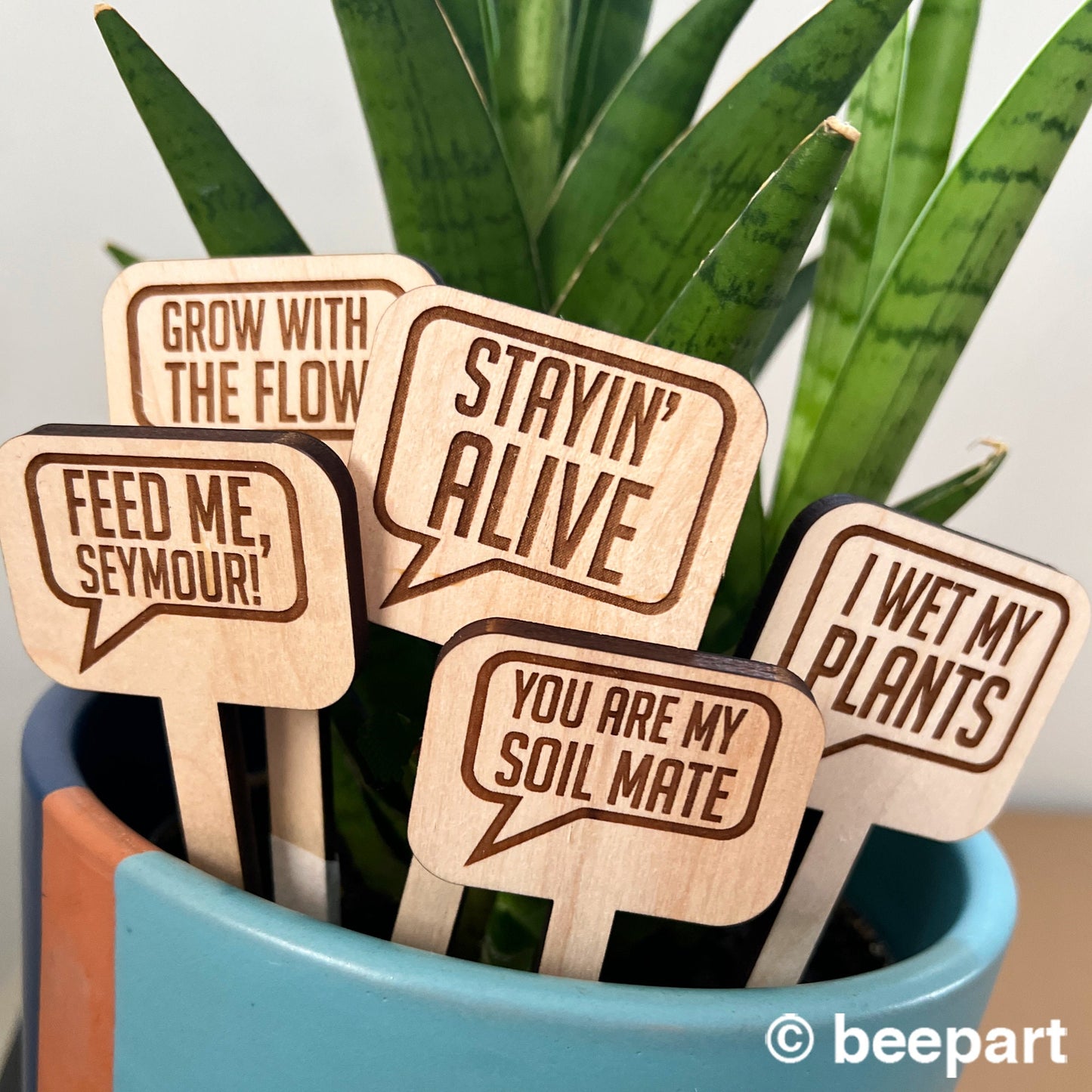 Funny Plant Stakes | Wooden Plant Markers with Cheeky Quotes – Set of 5, 10, 15 or 20