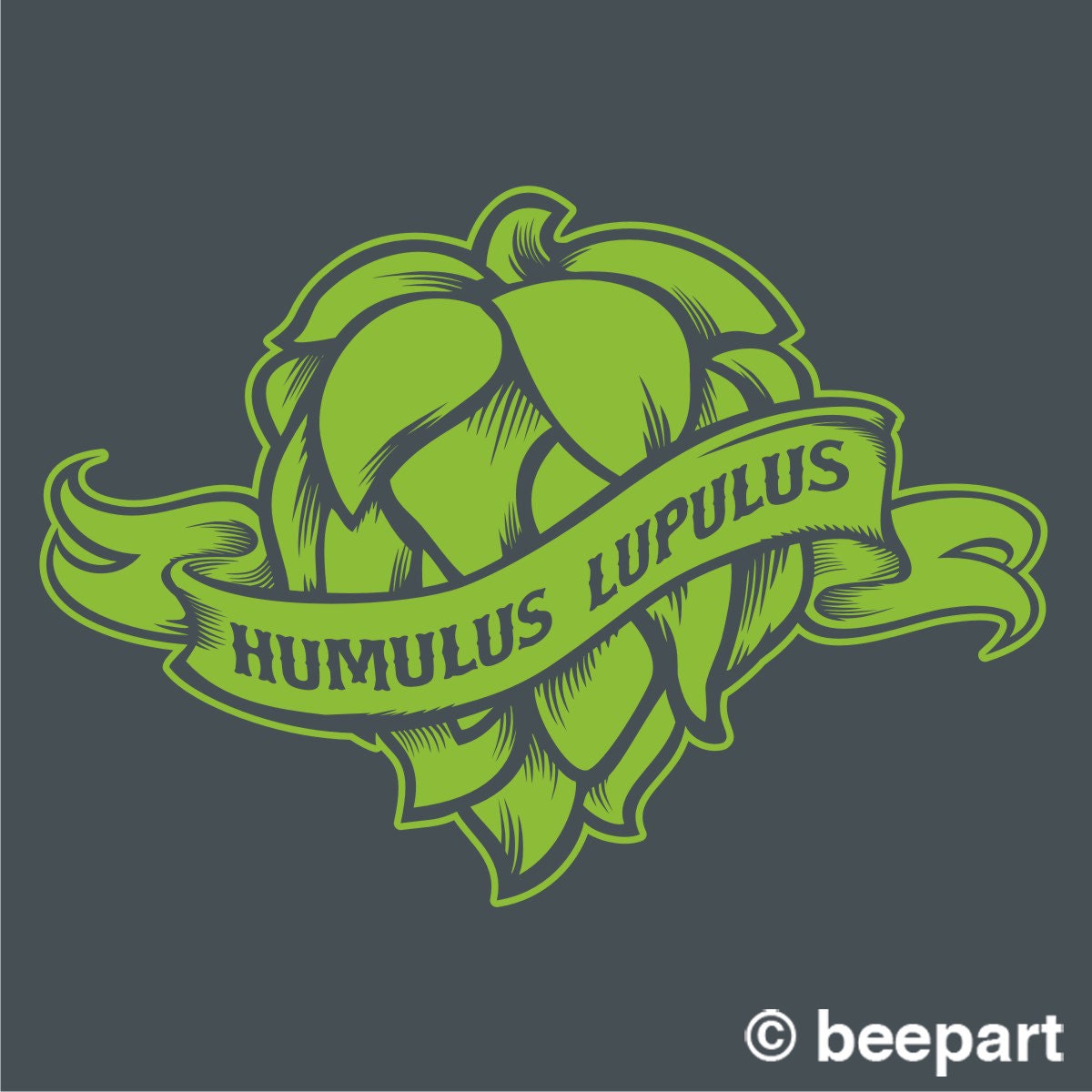 Craft beer fridge decal- hops kegerator sticker, mini fridge decal, beer wall decal, beer sticker, home brewer art, beer fridge decal